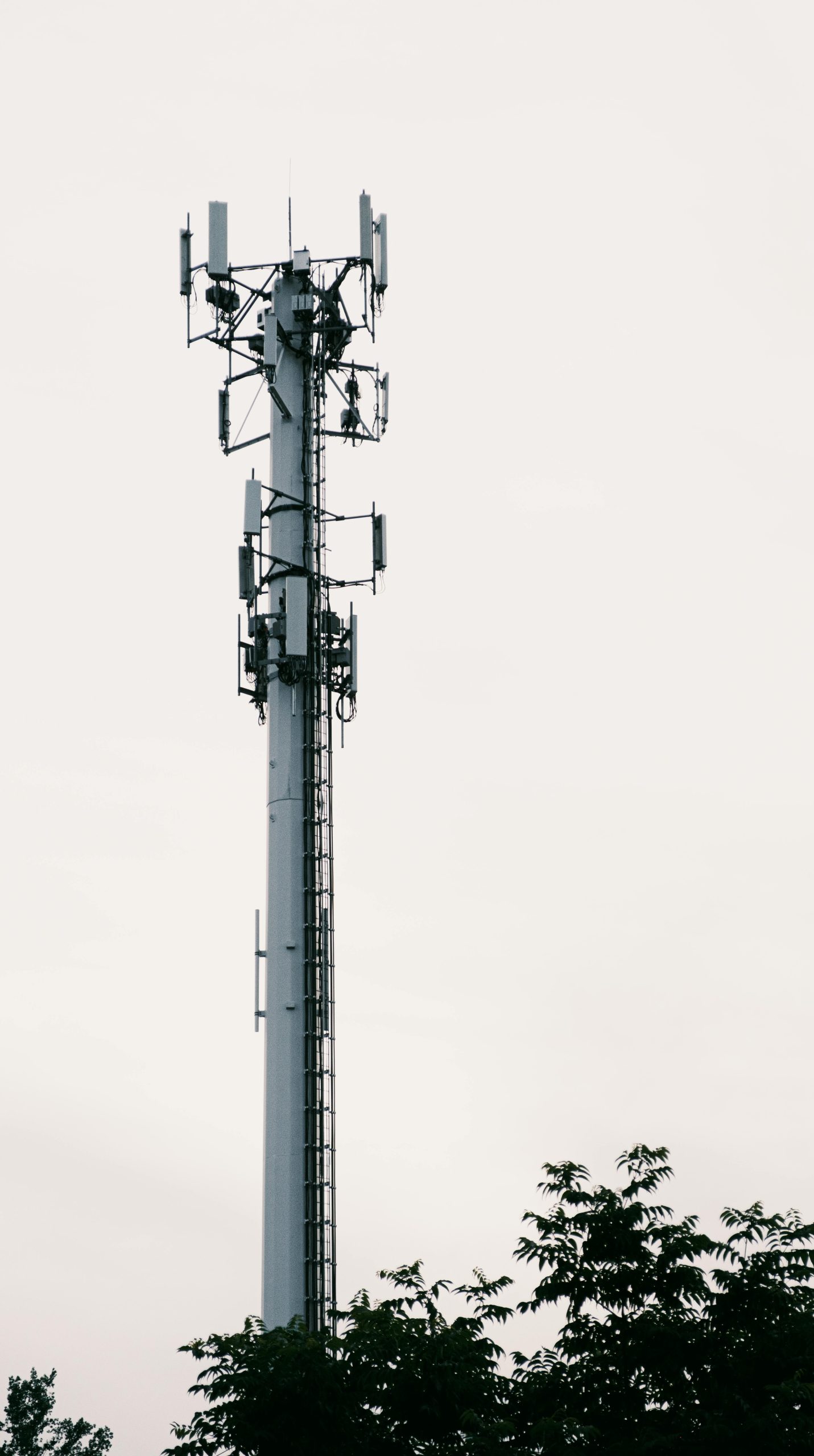 pexels-lucasdc-27240248